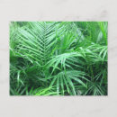 Search for paradise postcards Foliage