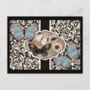 Search for damasks postcards Flowers