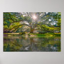 Search for willow tree posters Landscape