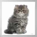 Search for veterinarian posters Cute