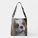 Search for king bags Blenheim