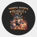 Search for rottweiler stickers Pumpkin