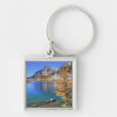 Search for reflections key rings Scenic