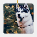 Search for siberian husky christmas tree decorations Festive