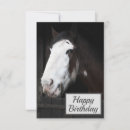 Search for horse birthday cards Equestrian