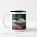 Search for northern lights mugs Landscape
