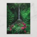 Search for rainforest postcards Mountain