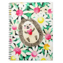 Search for hedgehog gifts Illustration