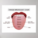 Search for dental office posters Mouth