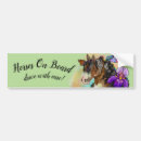 Search for equestrian bumper stickers Rodeo