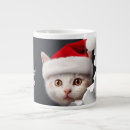Search for santas mugs For kids