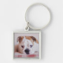 Search for cute animal key rings Dog
