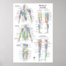 Search for front posters Medical