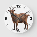 Search for goat clocks Farmhouse