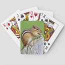 Search for chippy Animals