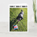 Search for black labrador puppy birthday cards Humour