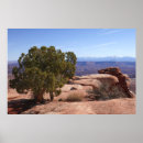 Search for red rock posters Landscape