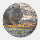 Search for hoover magnets Nature