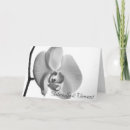 Search for white orchid wedding invitations Botanical