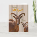 Search for old goat birthday cards Happy