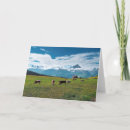 Search for farm anniversary cards Cow