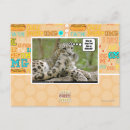 Search for why postcards I can has cheezburger
