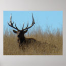 Search for laying posters Nature photography