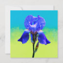 Search for iris invitations Floral