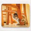 Search for flooring mousepads Pet