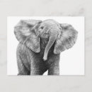 Search for elephant kid postcards Cute