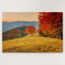Search for autumn puzzles Landscape