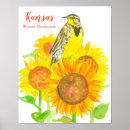 Search for kansas posters Sunflowers