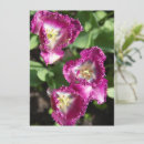 Search for 7x5 posters Nature