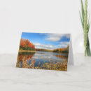 Search for cattail cattail cards Water