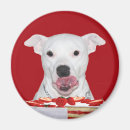 Search for hungry magnets White