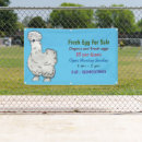 Search for eggs for sale signs Chicken