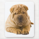 Search for pei electronics Puppy