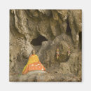 Search for asia magnets Buddhism
