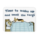 Search for waking up magnets Funny