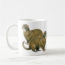 Search for polecat mugs Ferret