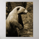 Search for vintage hunting posters Wildlife