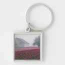 Search for misty key rings Fog