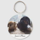 Search for juno Dogs