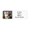 Search for cute kitty return address labels Winter