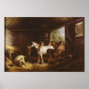 Search for stable posters 18th