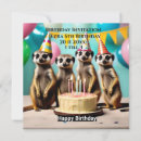 Search for meerkat invitations Suricata