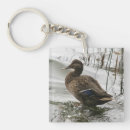 Search for ducks key rings Pond