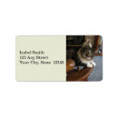 Search for cat paws return address labels Animals