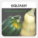 Search for gourds stickers Squash