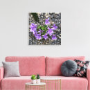 Search for mauve canvas prints Floral